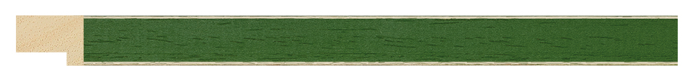 Moldura 1061/535 NAIF Verde Molgra - Vista frontal del producto