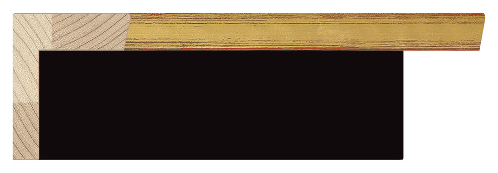 Moldura 4138/34 ELES Negro Molgra - Vista frontal del producto