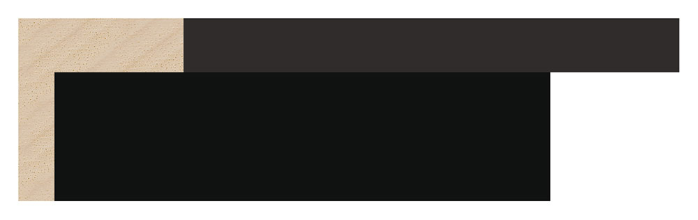 Moldura 5545/4 ELES Negro Molgra - Vista frontal del producto